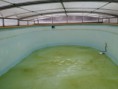 /album/fotogalerie-rekonstrukce-bazenu1/a20160315-092945-jpg/