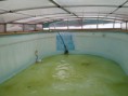 /album/fotogalerie-rekonstrukce-bazenu1/a20160315-093010-jpg/